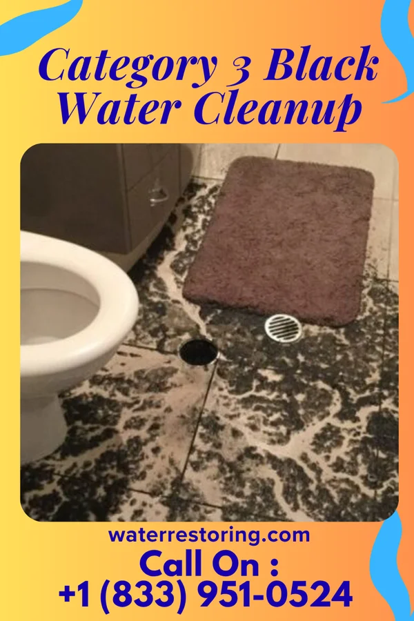 Category 3 Black Water Cleanup in Derby Line, VT