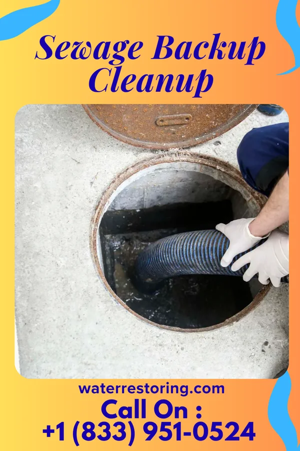 Sewage Backup Cleanup in Derby Line, VT