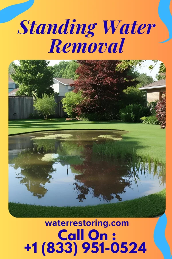 Standing Water Removal in Derby Line, VT